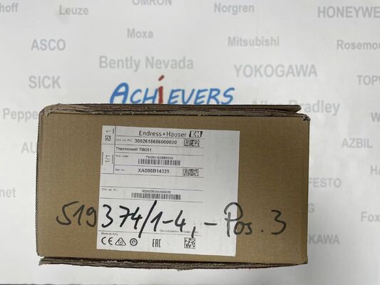 エンドレス ハウザー TW251-G2BE5S00 高性能流量とエネルギー変換器