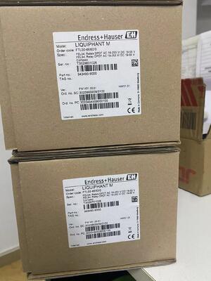 E+H FTL50-1DN80/0 リキファント M ビブロニック 調節フォーク ポイントレベルスイッチ