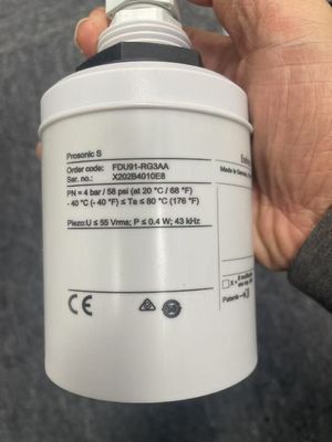 エンドレス ハーザー FDU91-RGЗAA FMU9xに接続するためのレベルと流量測定のための超音波センサー