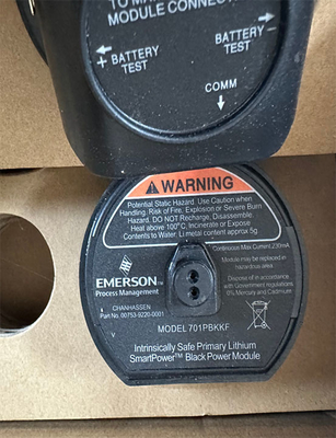 EMERSON 701PBKKF 701P SmartPower モジュール