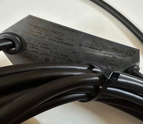 E+H 水操縦器 fmx21 水操縦器 水静的レベルプローブ